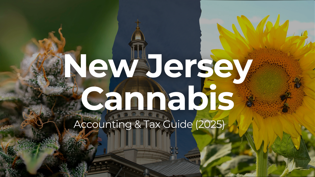 New Jersey Cannabis Accounting