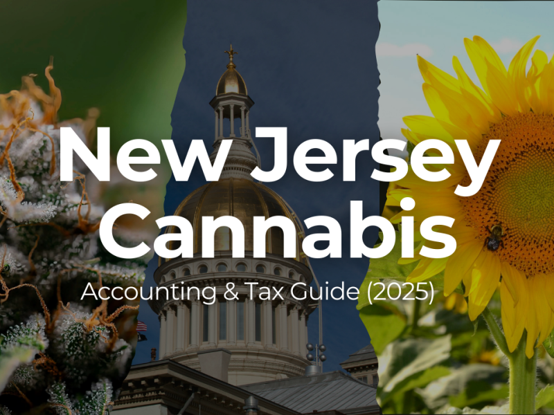 New Jersey Cannabis Accounting