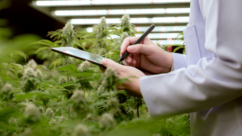 New Jersey cannabis metrc compliance