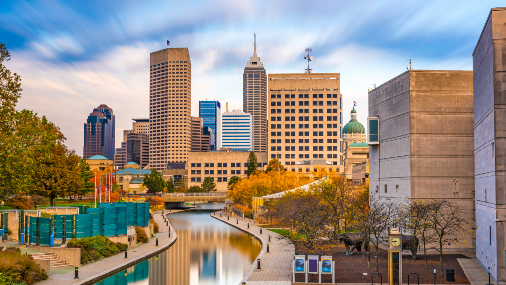 Ohio Cannabis Accounting