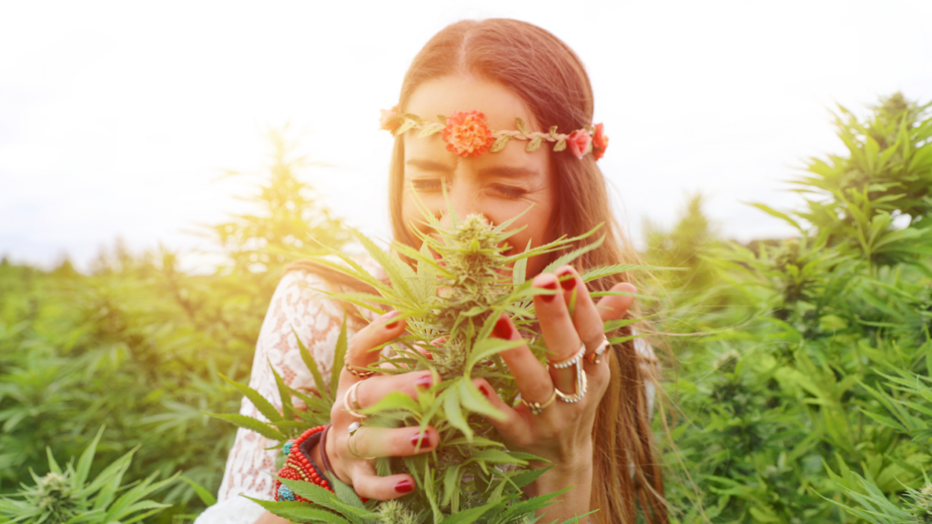 Ohio cannabis accounting