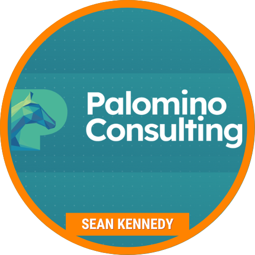 Palomino Consulting
